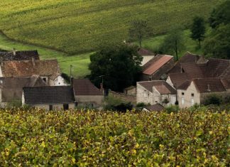 De la angustia a la alabanza