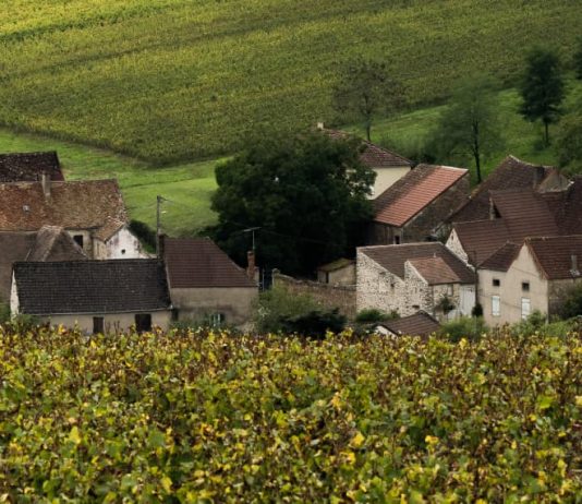 De la angustia a la alabanza