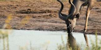 Permanecer fuerte en Cristo