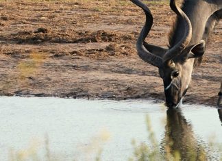 Permanecer fuerte en Cristo