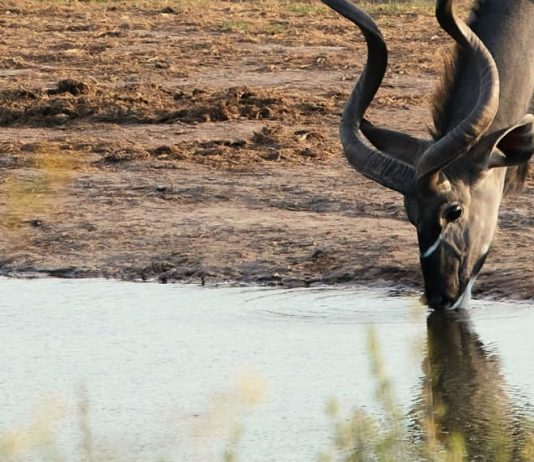 Permanecer fuerte en Cristo