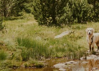 En la presencia de Dios