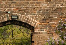 Seguir humildemente a Jesús