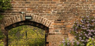 Seguir humildemente a Jesús