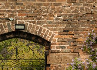 Seguir humildemente a Jesús