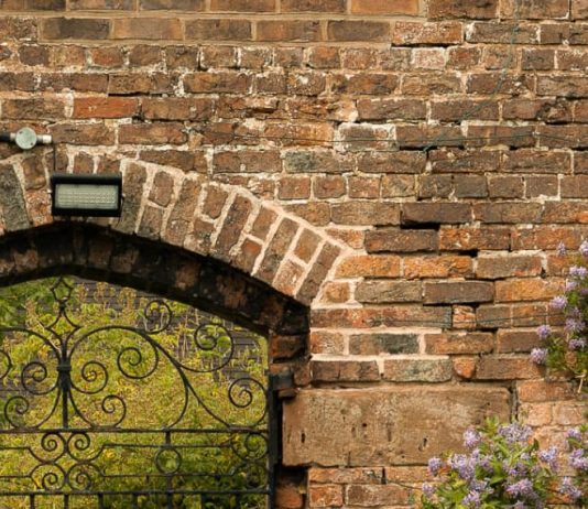 Seguir humildemente a Jesús