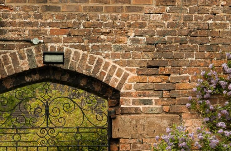 Seguir humildemente a Jesús