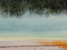 ¿Fuentes o desagües?