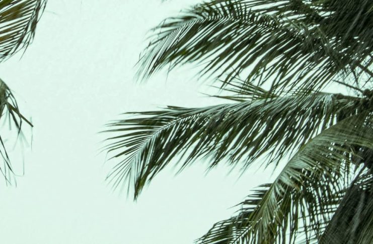 Cuando el amor aparece