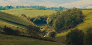 Cómo caen los arrogantes