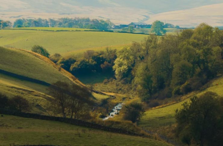 Cómo caen los arrogantes