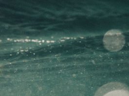 Una presencia no ansiosa