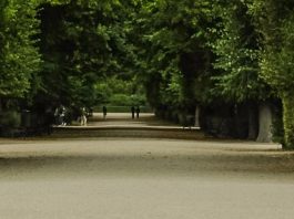 Eterno amado de Dios