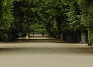 Eterno amado de Dios