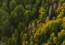 Se requiere humildad