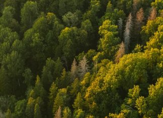 Se requiere humildad