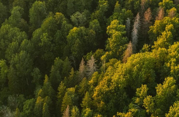 Se requiere humildad