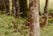 Acordarse de olvidar