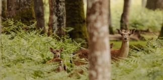 Acordarse de olvidar