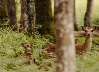 Acordarse de olvidar