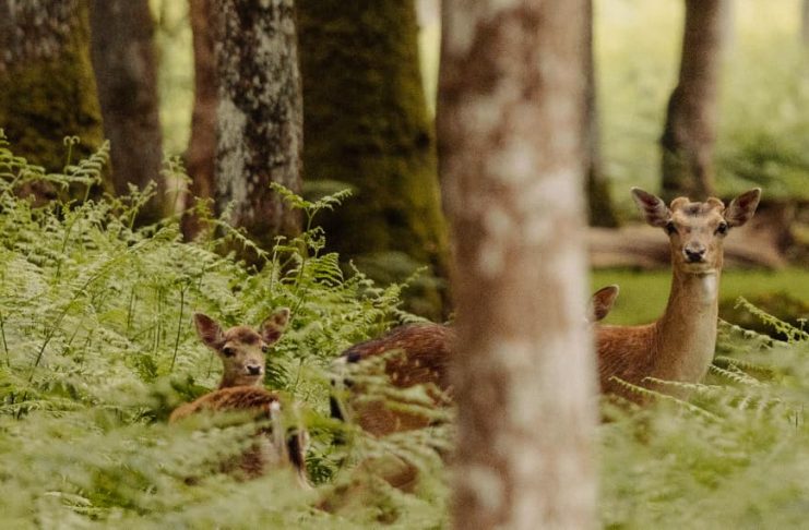 Acordarse de olvidar