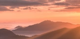 Enseñados en el amor