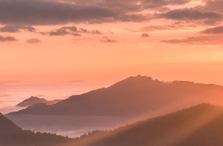 Enseñados en el amor