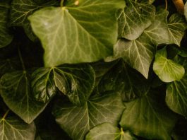 Abusar del nombre de Dios