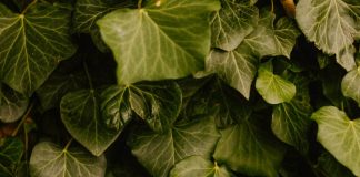 Abusar del nombre de Dios