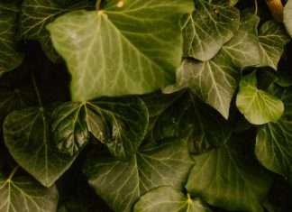 Abusar del nombre de Dios