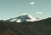 Ve y cuenta de Jesús