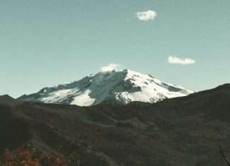 Ve y cuenta de Jesús