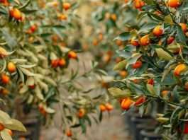 Generosidad que reanima