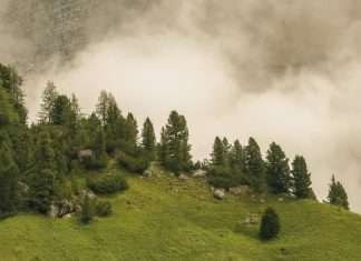 Poder innegable de Dios