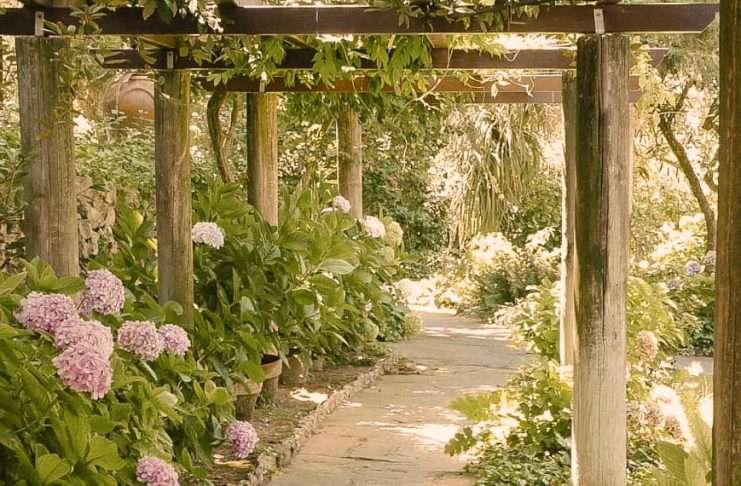 Actos amorosos de Dios