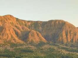 Vidas ofrecidas a Dios