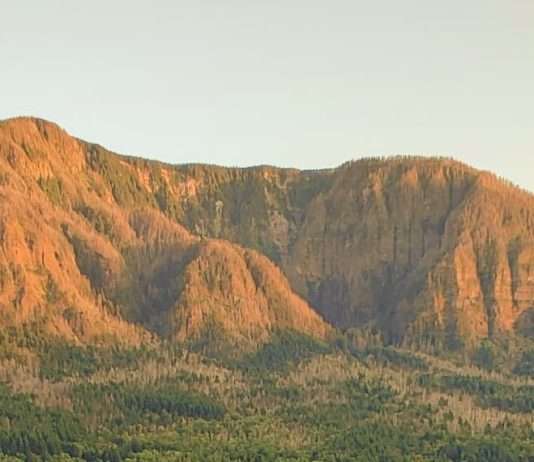 Vidas ofrecidas a Dios