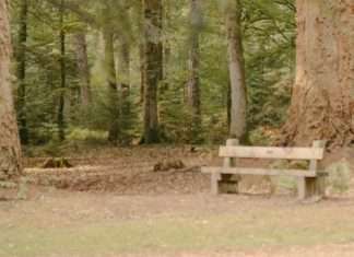 Hecho para la comunidad