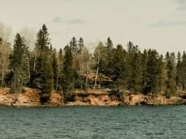 Más allá de los días tristes