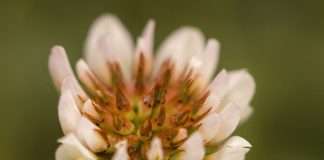 Una ofrenda para Jesús