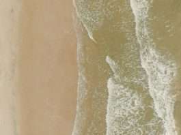 Administradores fieles