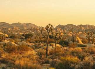 Recordatorio de la presencia de Dios