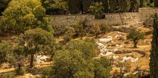 Lágrimas y esperanza