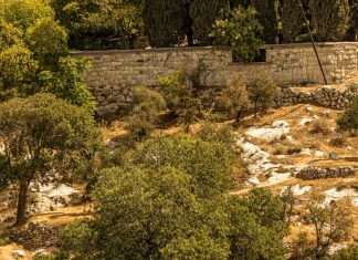 Lágrimas y esperanza