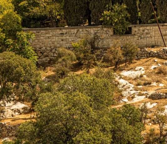 Lágrimas y esperanza