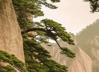 La perspectiva de Dios