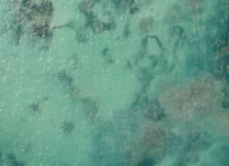 Integridad verdadera