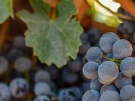 Recordatorios de amor