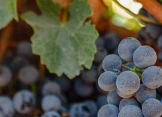 Recordatorios de amor