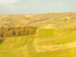 Servir a Dios por amor